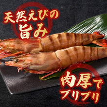 画像をギャラリービューアに読み込む, 王の海老® 2尾