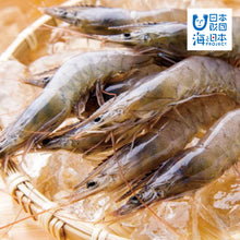 画像をギャラリービューアに読み込む, 【えび解剖出前授業2024】中高生が「食育の先生」に!園児に食育をしよう!!