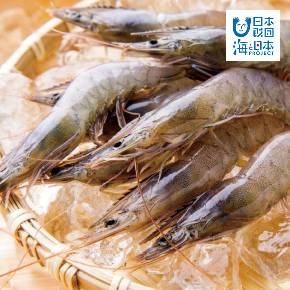 えび解剖出前授業2024】中高生が「食育の先生」に！園児に食育をしよう