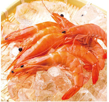 画像をギャラリービューアに読み込む, 【えび解剖出前授業2024】中高生が「食育の先生」に!園児に食育をしよう!!