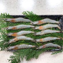 画像をギャラリービューアに読み込む, 天然芝えびむき身1kg