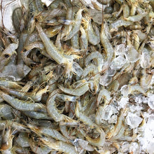 画像をギャラリービューアに読み込む, 天然芝えびむき身1kg