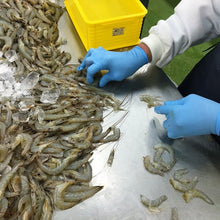 画像をギャラリービューアに読み込む, 天然芝えびむき身1kg