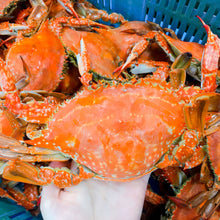 画像をギャラリービューアに読み込む, ボイルワタリガニ 4尾(無添加)