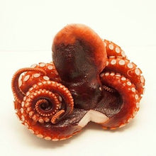 画像をギャラリービューアに読み込む, 解凍するだけ!カット蒸しだこ1kg