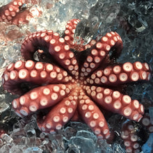 画像をギャラリービューアに読み込む, 釜茹で真ダコ1kg