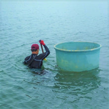 画像をギャラリービューアに読み込む, 三河産冷凍しじみ たっぷり2kg