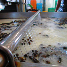 画像をギャラリービューアに読み込む, 三河産冷凍しじみ たっぷり2kg