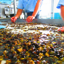 画像をギャラリービューアに読み込む, 三河産冷凍しじみ たっぷり2kg