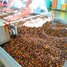 画像をギャラリービューアに読み込む, 三河産冷凍しじみ たっぷり2kg