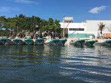 画像をギャラリービューアに読み込む, 解凍するだけ!カット蒸しだこ1kg