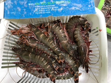 画像をギャラリービューアに読み込む, 【数量限定】夢の料理の絵を描いて海老をもらおう!!