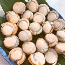 画像をギャラリービューアに読み込む, 【学校給食限定】北海道産ボイルホタテ無償提供申込み