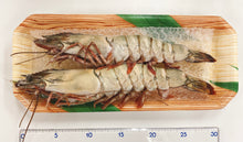 画像をギャラリービューアに読み込む, 《訳あり》超☆巨大! 天然シータイガーえび(2尾入り/1パック)