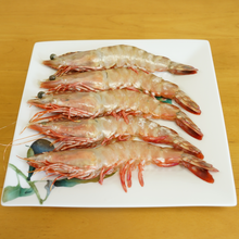 画像をギャラリービューアに読み込む, 海老解剖キット 有頭えび 5尾