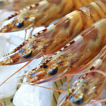 画像をギャラリービューアに読み込む, 【保育園・幼稚園・子ども食堂、その他児童福祉施設限定】国産クルマエビ無償提供申込み