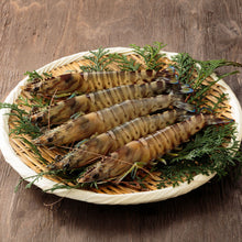 画像をギャラリービューアに読み込む, 【保育園・幼稚園・子ども食堂、その他児童福祉施設限定】国産クルマエビ無償提供申込み