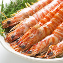 画像をギャラリービューアに読み込む, 【保育園・幼稚園・子ども食堂、その他児童福祉施設限定】国産クルマエビ無償提供申込み