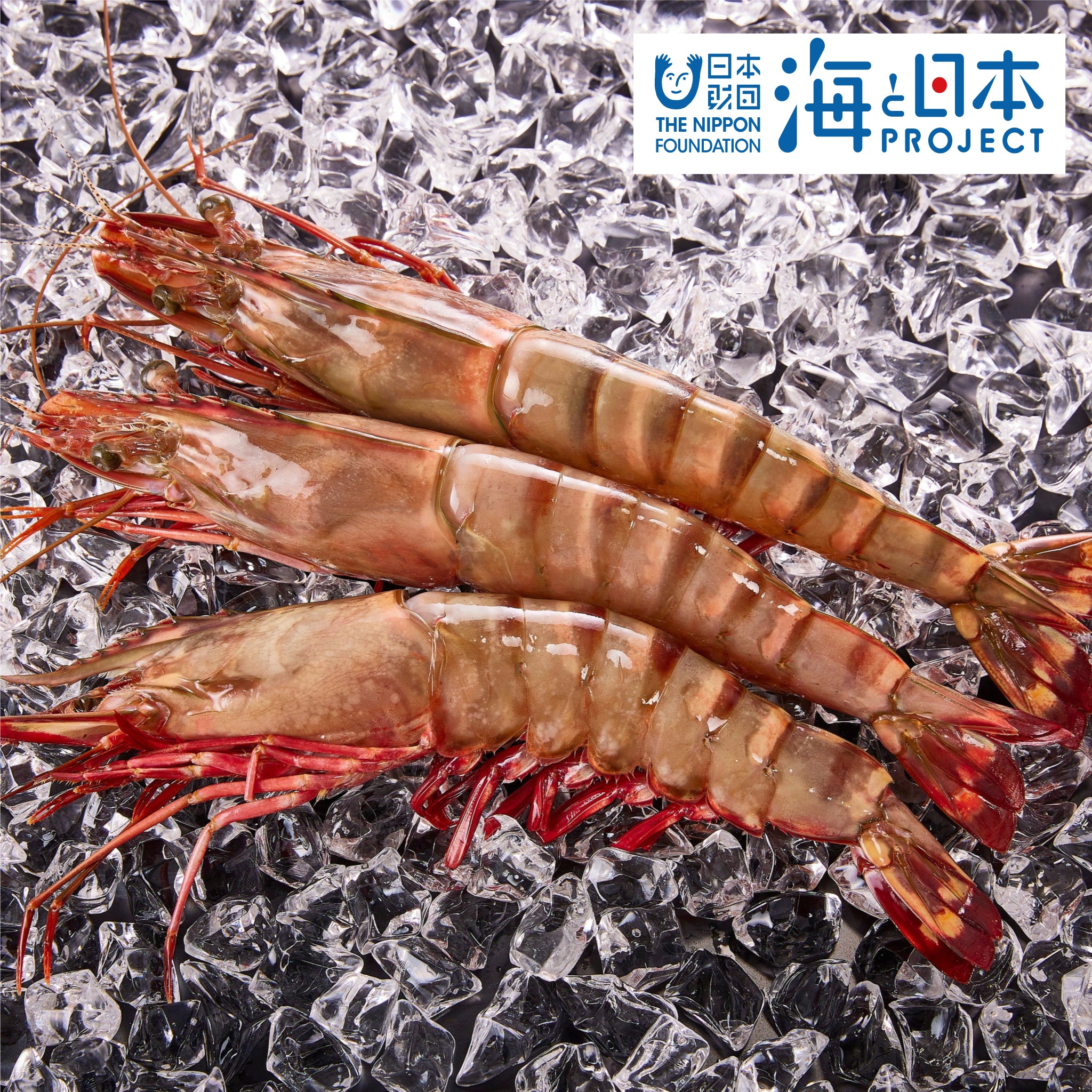 錆を使用したエビの油絵◇珍しい絵画◇最大5000円値引きします(説明欄必読)