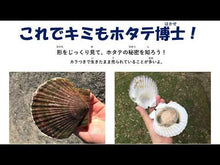 ギャラリービューア【生産者応援！】(第１回学校給食)北海道産ホタテ貝柱　無償提供に読み込んでビデオを見る
